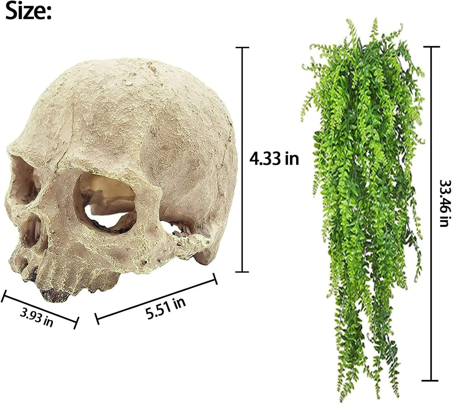 Reptile Habitat Skull Decoration Bearded Dragon Tank Accessories New