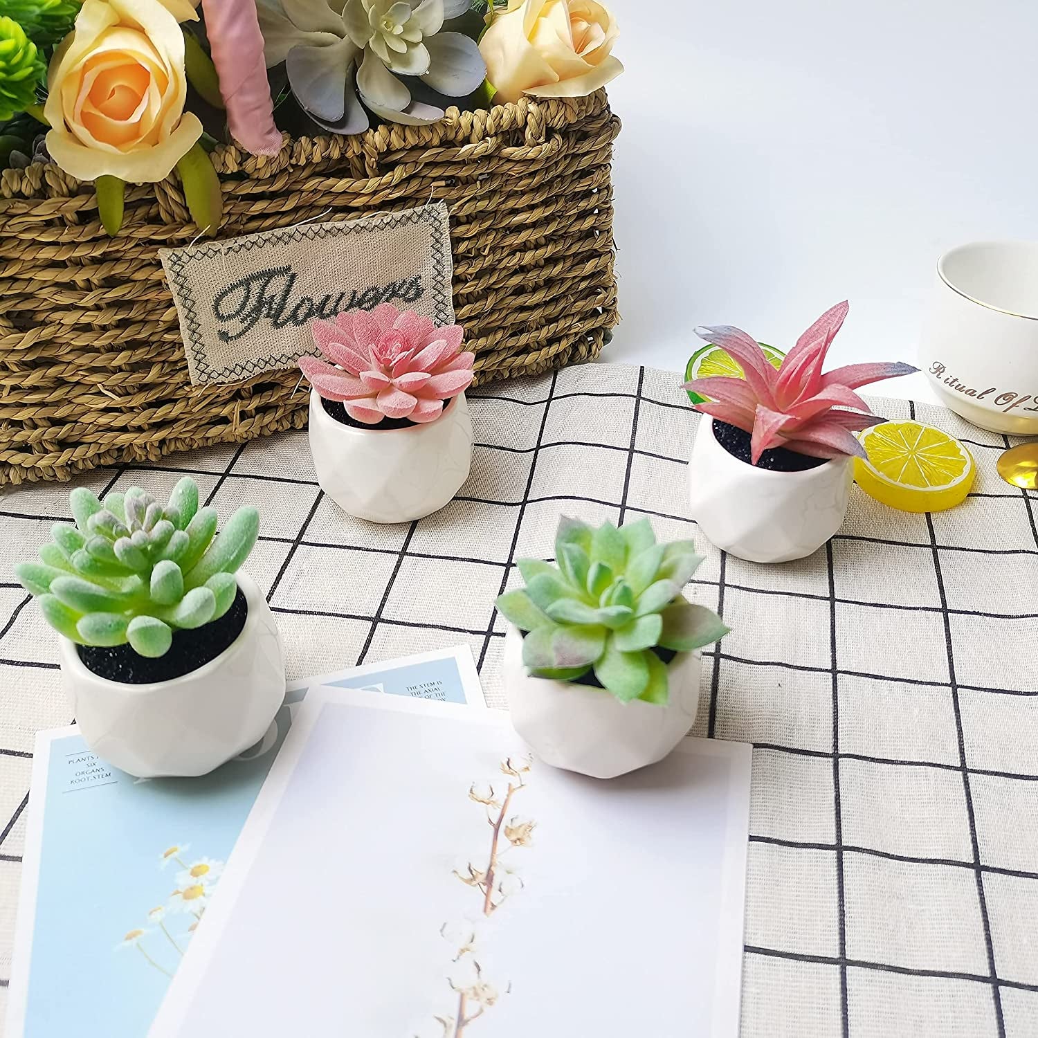 Suculentas Artificiales Macetas Plantas Artificiales Realistas En Macetas Nueva