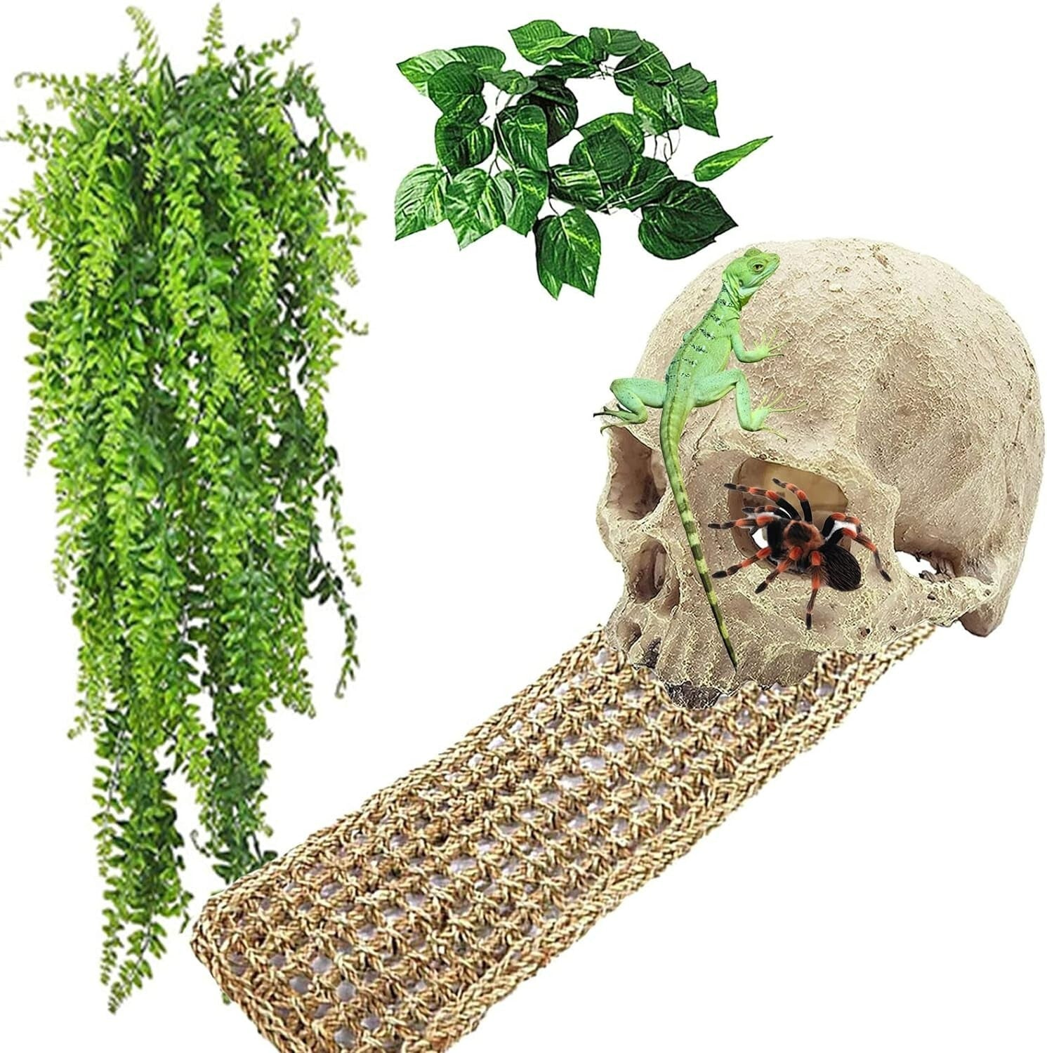 Reptile Habitat Skull Decoration Bearded Dragon Tank Accessories New