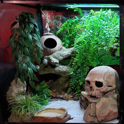 Reptile Habitat Skull Decoration Bearded Dragon Tank Accessories New